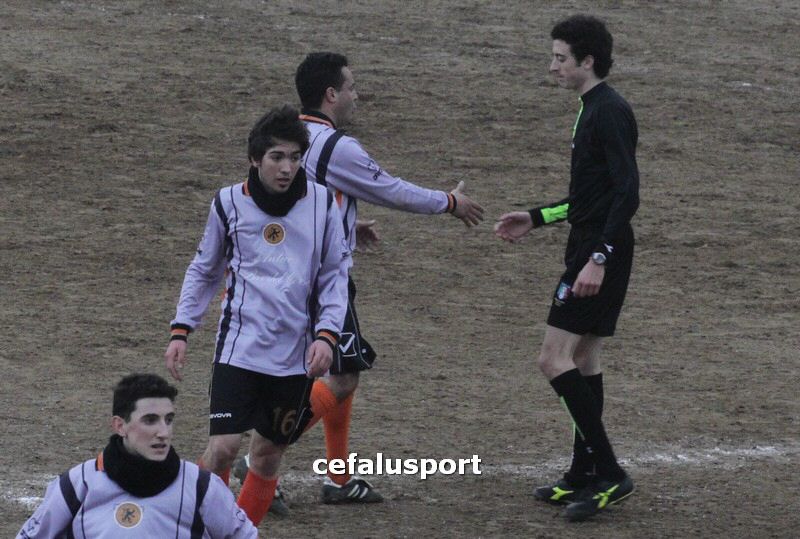 120310 stefanese 302y_tn.jpg
